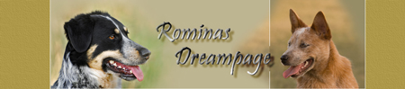 rominasdreampage_header_beige_102